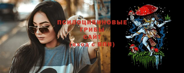 прущие грибы Богородицк