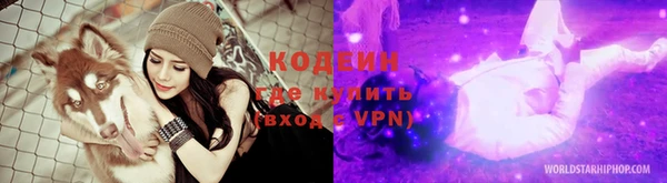 соль ск Арсеньев