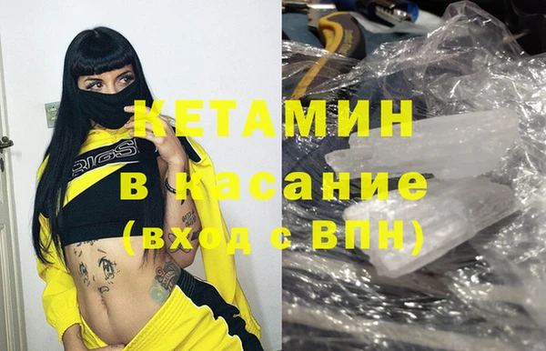 прущие грибы Богородицк