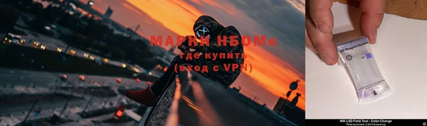 mdpv Богородск