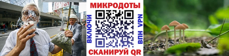 Галлюциногенные грибы ЛСД  МЕГА как войти  Петропавловск-Камчатский 