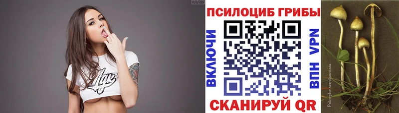 Псилоцибиновые грибы ЛСД Петропавловск-Камчатский